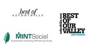 Mint Social Voted Best Social Networking and Online Media Firm
